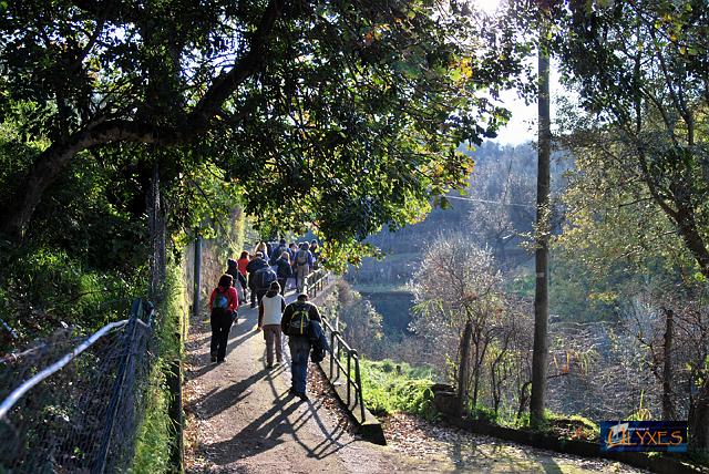 in coda per l'ultimo sole.JPG